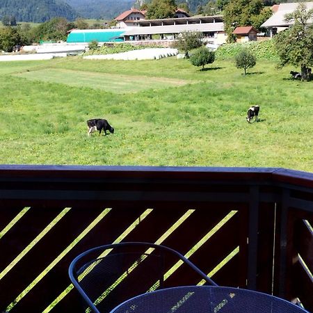 Apartma Julia Spodnje Gorje المظهر الخارجي الصورة